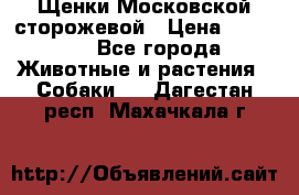 Щенки Московской сторожевой › Цена ­ 35 000 - Все города Животные и растения » Собаки   . Дагестан респ.,Махачкала г.